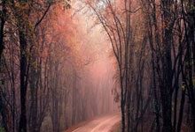 江苏黄牌客车充值教程