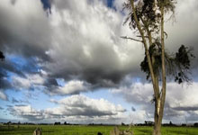 全国小车微信ETC：纯95折+0费用办理！非车主/公司车免资料，3分钟自助开通